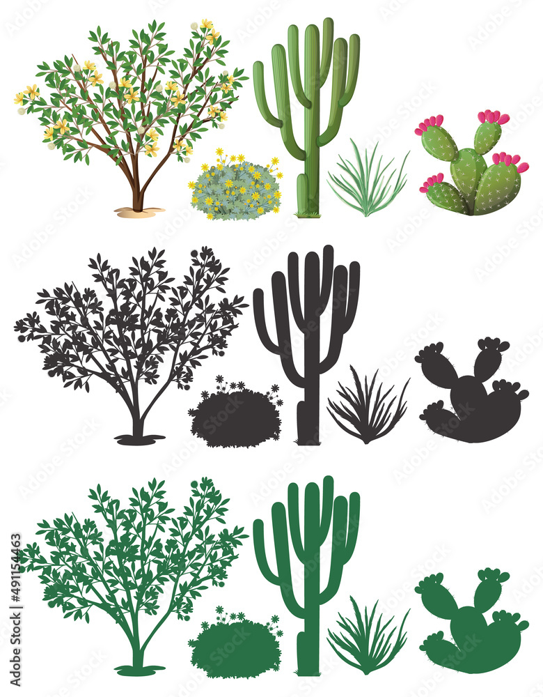 Wall mural different plants with silhouette