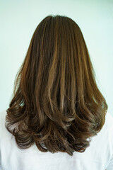 Fototapeta premium Back view of woman hair style and coloring close up.