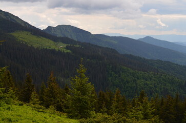 Fototapeta na wymiar Carpathian Mountains Nature, mountains, ecology, climate change, landscape, Carpathians, Alps, rock