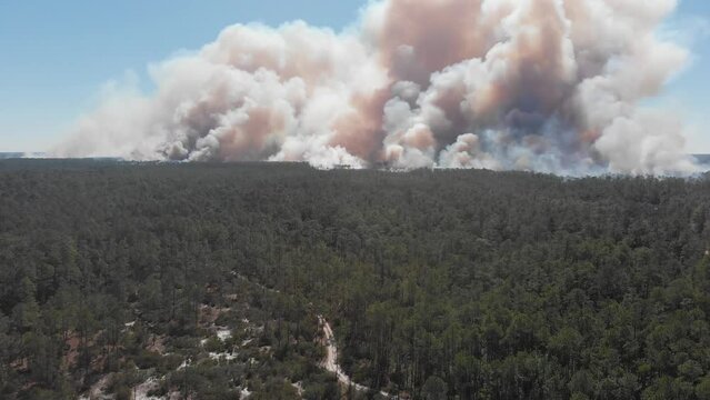 forest fire smoke clouds burning trail road ocala national forest florida aerial drone tilt reveal