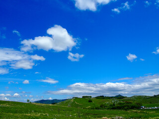 青空
blue sky 