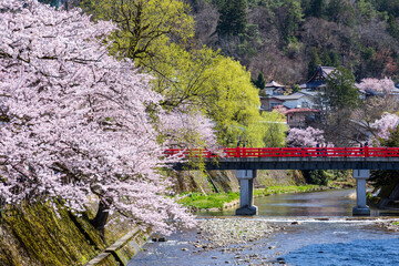 飛騨高山 春の中橋