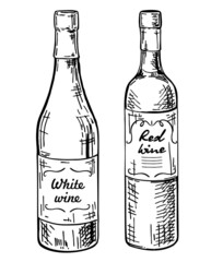 Bottles with white and red wine sketch. Bottles of wine. Different wines hand drawing vector illustration.