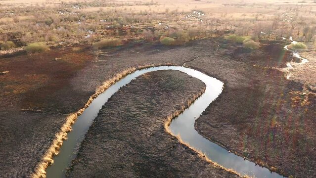 Burnt dry grass in the nature reserve of the river Seret, from a bird's eye view. Filmed in UHD 4k video.