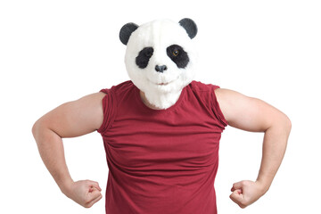Man wearing a panda mask head doing strong gesture, isolated on white background in studio.