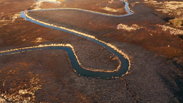 Burnt dry grass in the nature reserve of the river Seret, from a bird's eye view. Filmed in UHD 4k video.