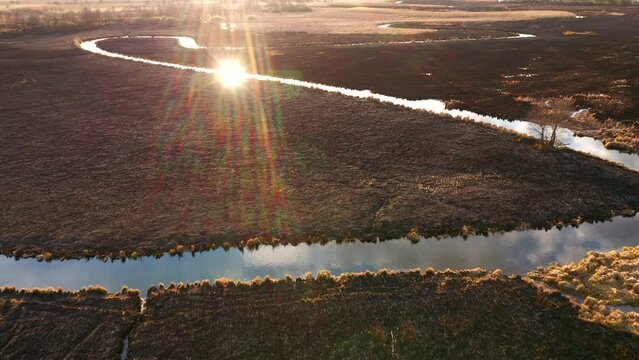 Burnt dry grass in the nature reserve of the river Seret, from a bird's eye view. Filmed in UHD 4k video.