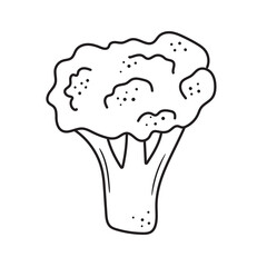 Black outline broccoli icon. Hand drawn cabbage drawing. Sketch vegetable illustration. Doodle silhouette of harvest element