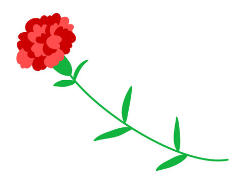 red carnation flower with green stem clip art preview