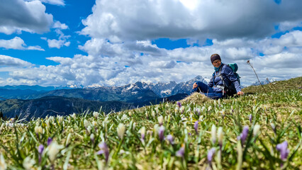 Woman relaxing in a field of pink and white crocus with a panoramic view on mountain peaks in early...
