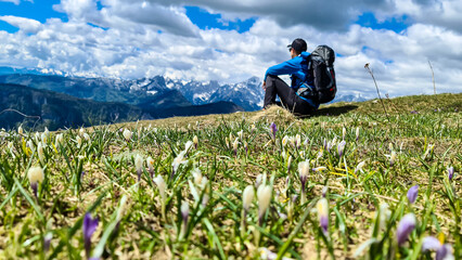 Fototapeta premium Man relaxing in a field of pink and white crocus with a panoramic view on mountain peaks in early spring in the Karawanks and Julian Alps, Carinthia, Austria. Border to Slovenia. Triglav and Mangart