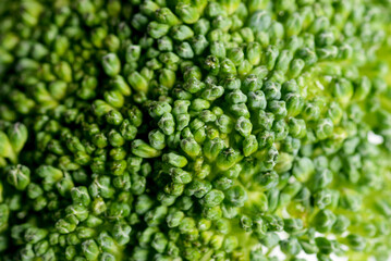 Close up shot of broccoli texture