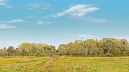 Autumn landscape with meadow and trees under a cloudy sky in bourgoyen nature reserve, Ghent, Flanders, Belgium 