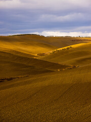 Typical rural fields and landscape in Tuscany Italy - travel photography