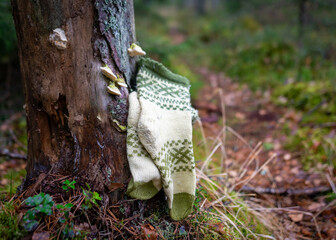 photography with knitted socks on a natural earth background, handicraft concept, knitting as a hobby,