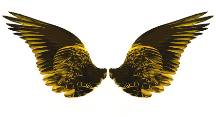 yellow wings isolated on white background