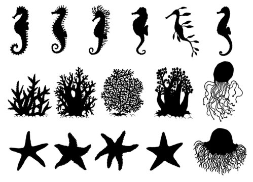 Set silhouette seahorses, starfishes and corals different forms. Vector icons wild ocean animals underwater life doodle isolated illustrations.