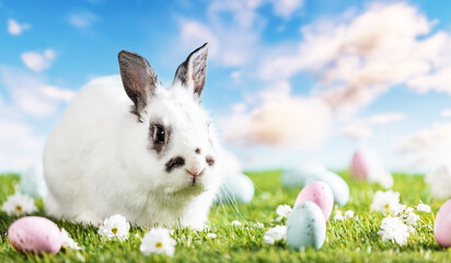 Easter bunny and painted eggs on grass