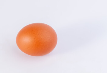 one eggs are placed on a white background with free space on right