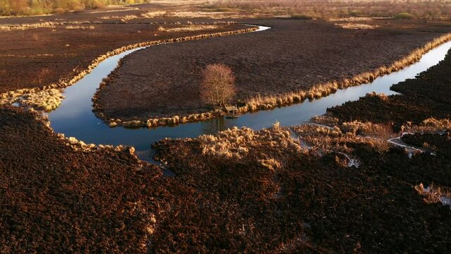 Burnt dry grass in the nature reserve of the river Seret, from a bird's eye view. Filmed in UHD 4k video.