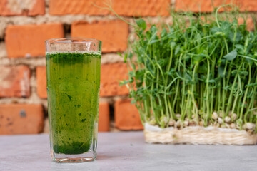 Juice from wheat grass. Trend of health. Wheatgrass juice with sprouted wheat. Glass of fresh wheatgrass juice. Wheatgrass juice was made from fresh wheatgrass and poured into a glass.