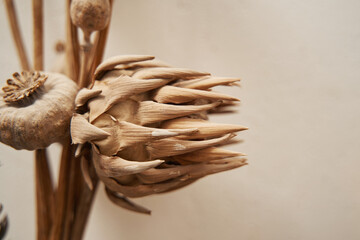 Bouquet of dried plants against beige background