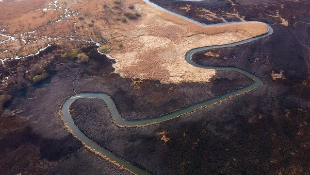 Burnt dry grass in the nature reserve of the river Seret, from a bird's eye view. Filmed in UHD 4k video.