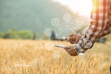 Farmer man with digital tablet working on farm agricultural concept work in the rice fields