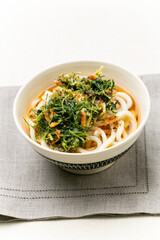 家庭料理　おかひじきと桜海老のかき揚げのせうどん　和食　日本