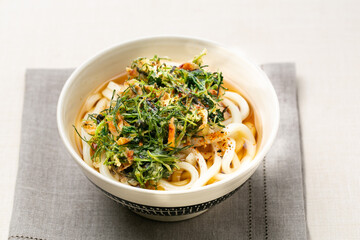 家庭料理　おかひじきと桜海老のかき揚げのせうどん　和食　日本