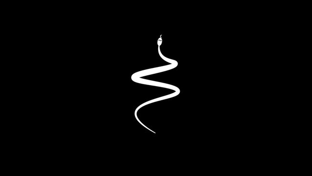 White picture of snake on a black background. cold-blooded creature. Distortion liquid style transition icon for your project. 4K video animation for motion graphics and compositing.