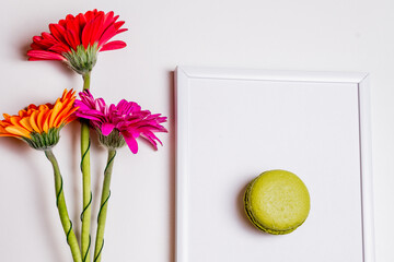 colorful flowers and macaron on white frame