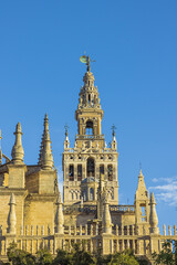 Fototapeta na wymiar Looking up at the Giralda, seen from Triumph Square in Seville