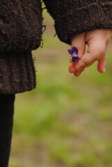child picking berries