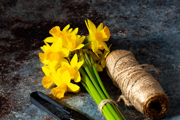 Bunch of daffodils tied with string with cutter on a grunge background