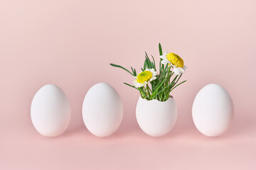 Easter creative concept. Green sprouts and spring flowers in white egg. Group of four easter eggs....