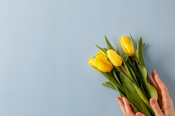 Hands hold yellow tulips flower bouquet on blue background. Top view, copy space. Spring and flowers. Ukraine colors