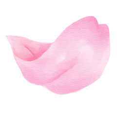水彩素材　桜の花びら