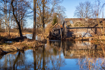 Fototapety na wymiar - Fototapeta24.pl