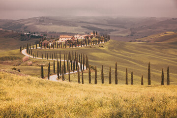 Fototapeta premium beautiful summer landscape with cypress trees and rolling hills