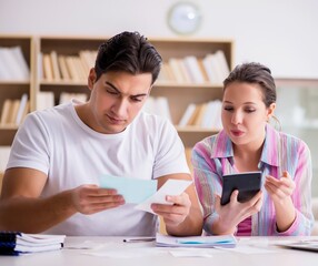 Young family discussing family finances