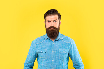 Serious unshaven man with long beard and moustache in casual denim shirt yellow background, bearded man