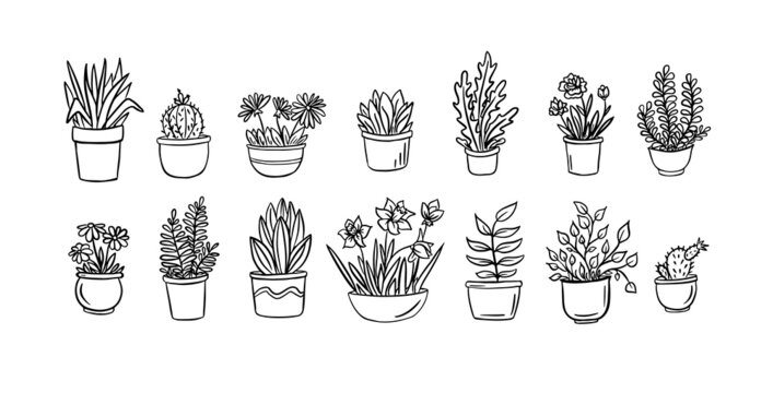 House plants and flowers in pots for the interior.Vector illustrator.Picture in doodle style.