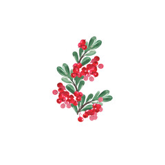 A branch with red berries and green leaves for the design of postcards, posters and other printed products.