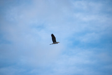 Photos d'une journée au écurie