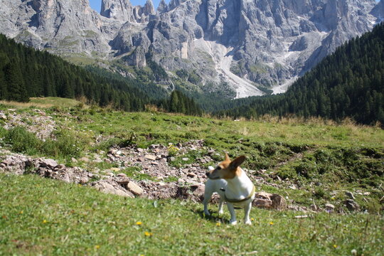 「Jrt」の画像 2,318 件の Stock 写真、ベクターおよびビデオ Adobe Stock