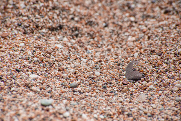 Small sea pebbles with stones with a reddish tint