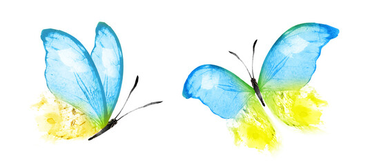Color watercolor butterfly , isolated on the white background. Set