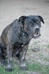 Photos d'une journ&eacute;e au &eacute;curie