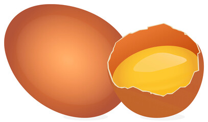 Illustration with vector realistic eggs, food